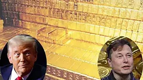 trump and musk question fort knox gold reserves and demand transparency